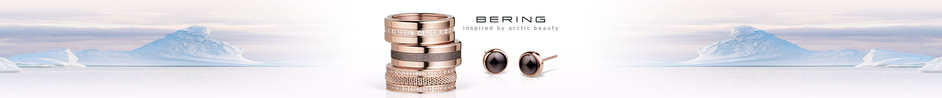 06_BERING_Webbanner